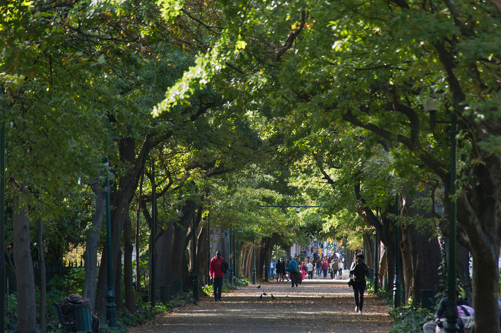 The Company's Garden